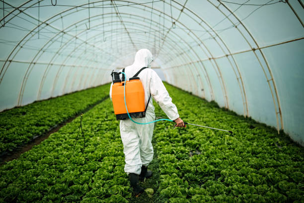 Best Local Pest Control Services  in West Van Lear, KY