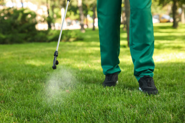  West Van Lear, KY Pest Control Pros