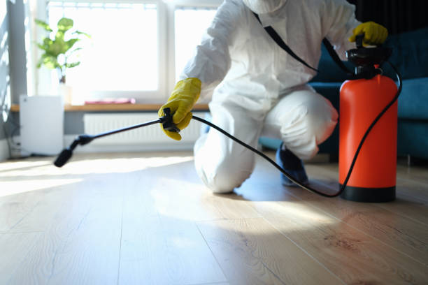 Best Affordable Pest Control Services  in West Van Lear, KY