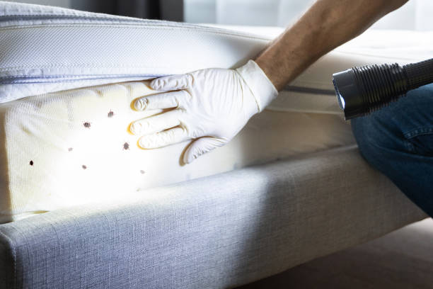 Best Emergency Pest Control  in West Van Lear, KY