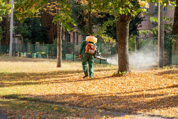 Best Bed Bug Extermination  in West Van Lear, KY